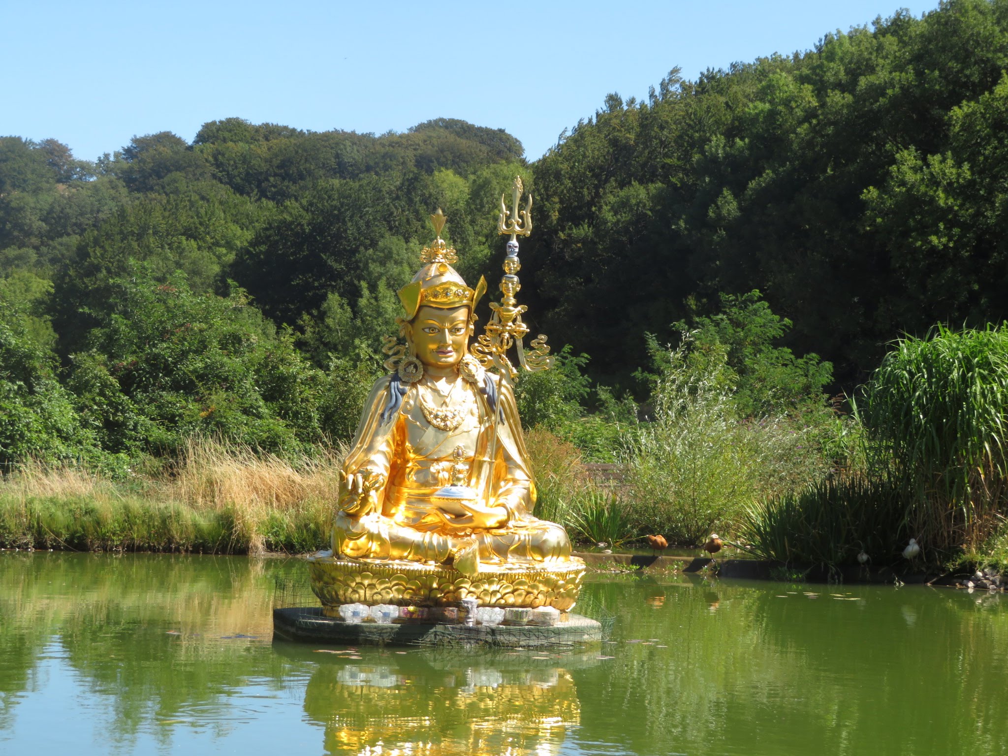 Photo n° 12 de l'avis de Marie.l fait le 20/09/2020 à 20:37