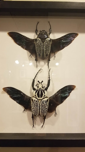 Tattoo Shop «Zen Tattoo», reviews and photos, 294 W 4500 S, Salt Lake City, UT 84107, USA