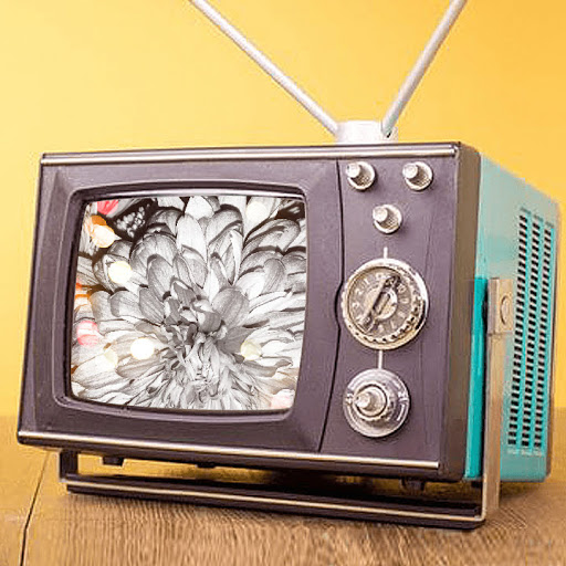 Department Store «Walmart Supercenter», reviews and photos, 300 Iowa Speedway Dr, Newton, IA 50208, USA