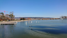 Városi Strand