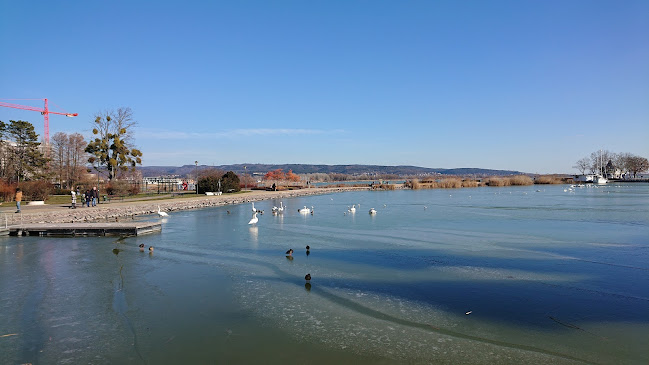 Városi Strand