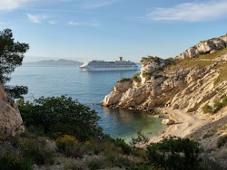 Pointe de Figuerolles'in fotoğrafı çok temiz temizlik seviyesi ile