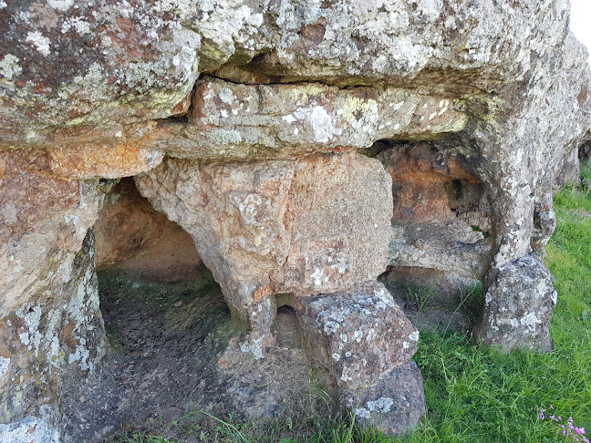 Opiniones de Parque del Rosedal y Grutas de Reyles en Colonia - Museo