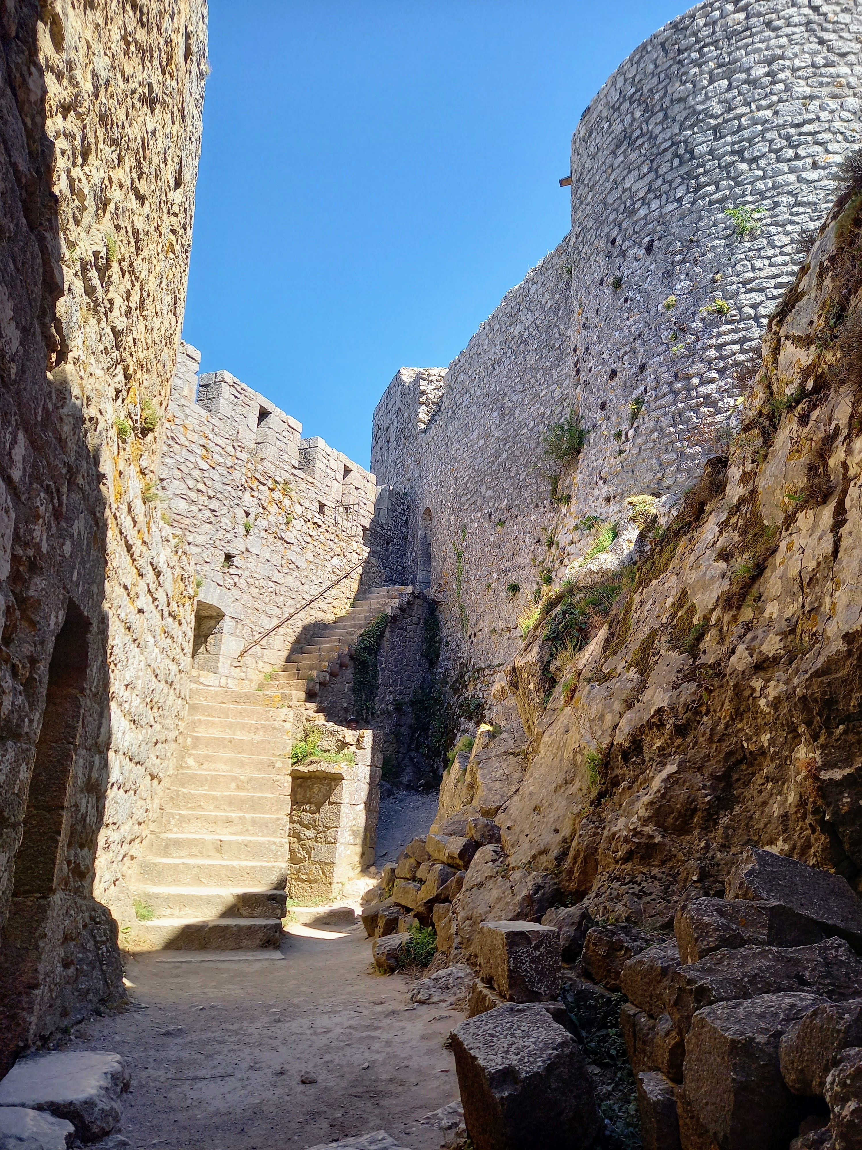 Photo n° 2 de l'avis de BERNARD.a fait le 26/07/2023 à 16:48