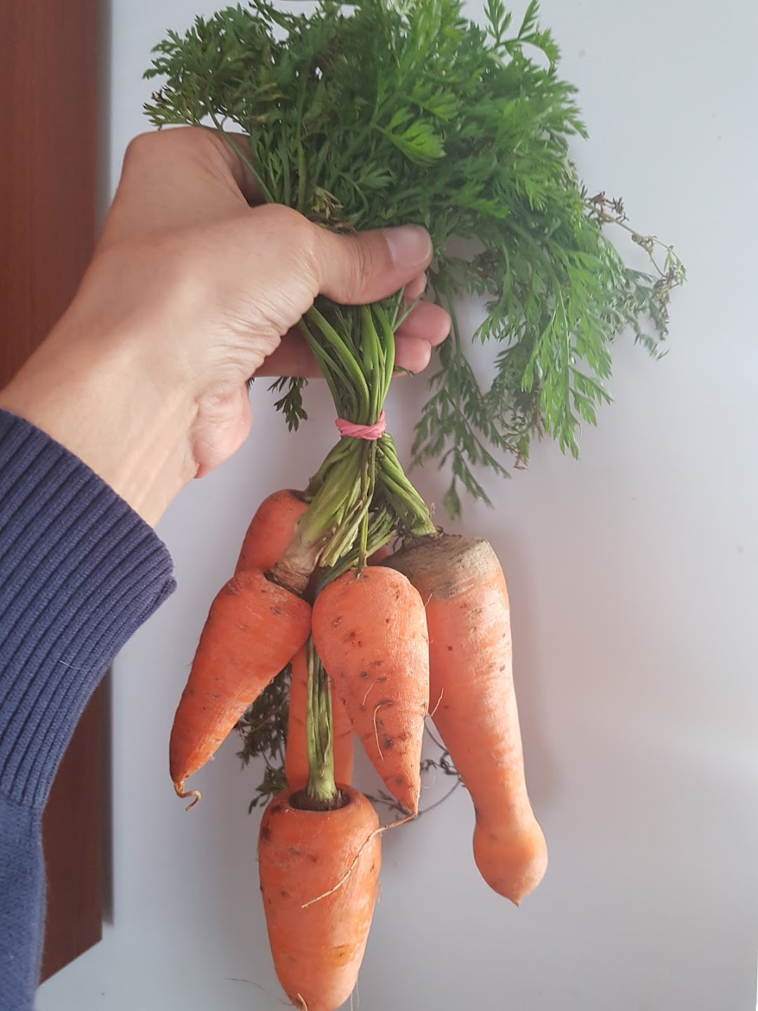 Sistemas de cocina saludable en Bogota