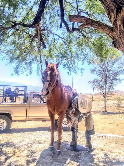 Granero Y Veterinaria ARO el refugio