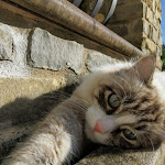 Photo n°6 de l'avis de ENRICO.A fait le 14/06/2020 à 17:06 sur le  Agriturismo Cavaglione à Peccioli