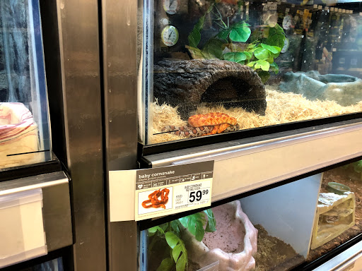 Pet Supply Store «Petco Animal Supplies», reviews and photos, 585 E Wetmore Rd, Tucson, AZ 85705, USA