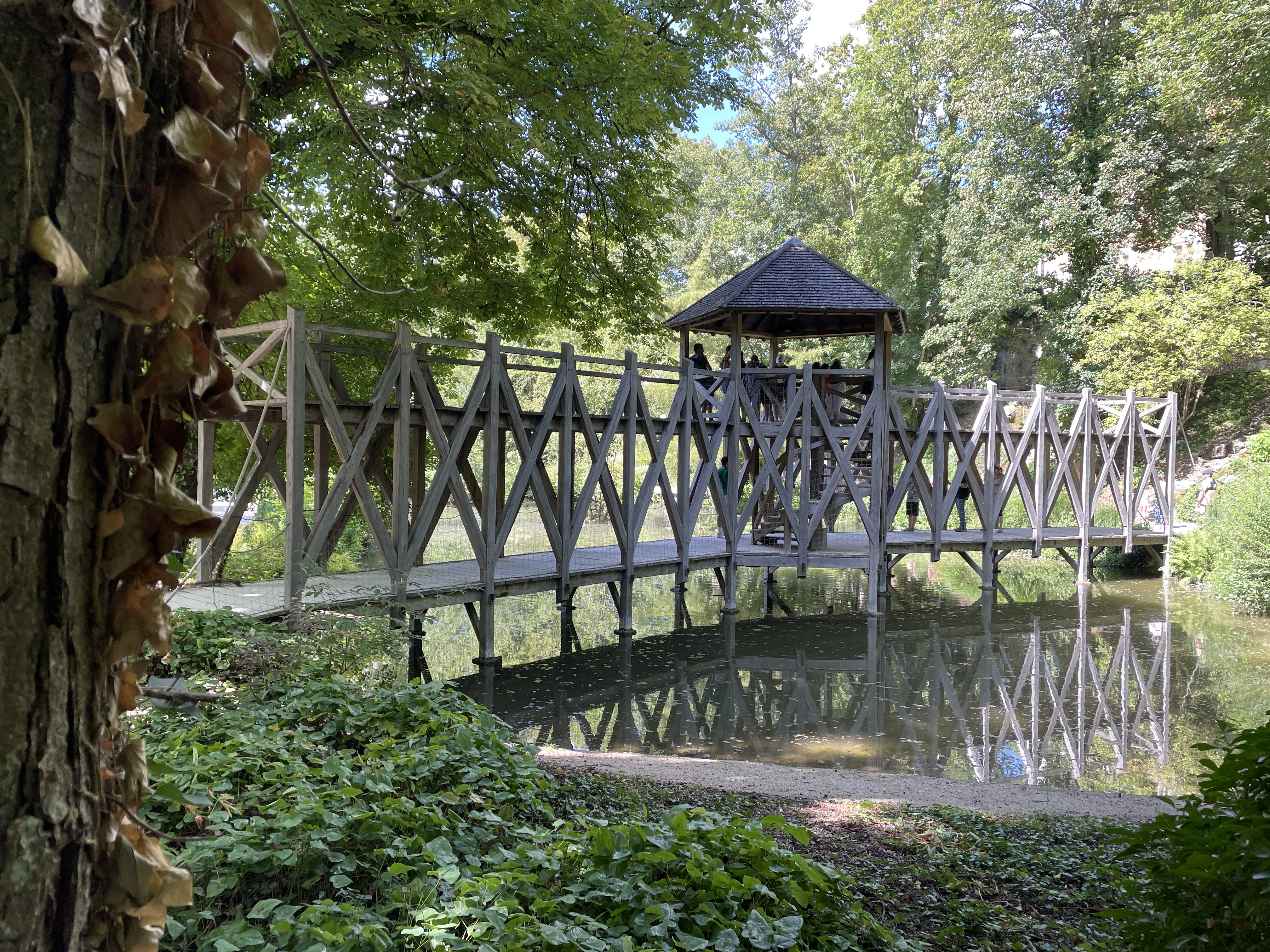 Photo n° 2 de l'avis de valéry.e fait le 13/08/2023 à 21:08