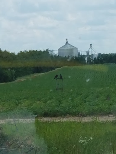 Auto Parts Store «Pep Boys Auto Parts & Service», reviews and photos, 2936 Ogden Ave, Naperville, IL 60540, USA