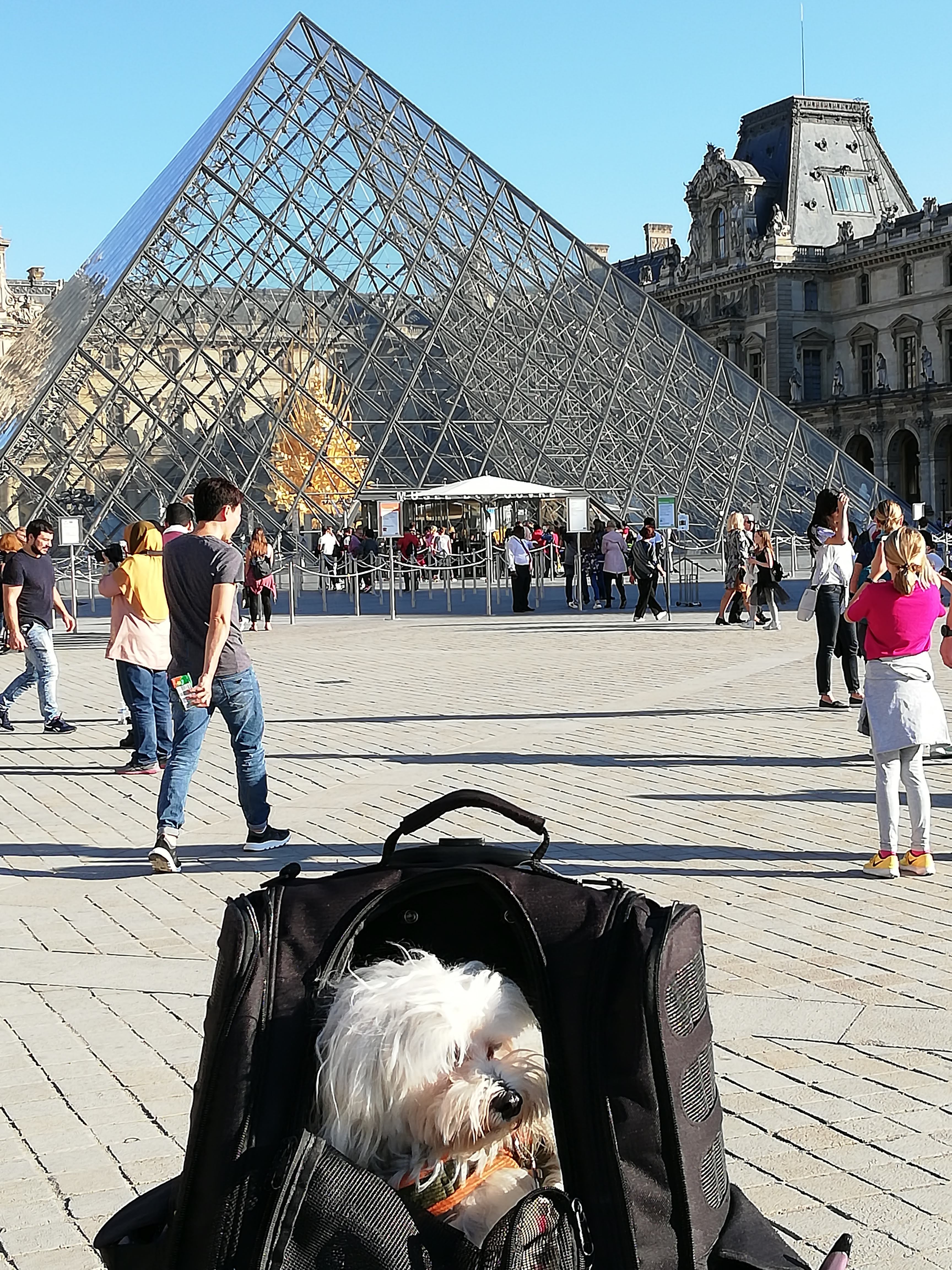 Photo n° 2 de l'avis de Sasha.b fait le 12/10/2018 à 09:29