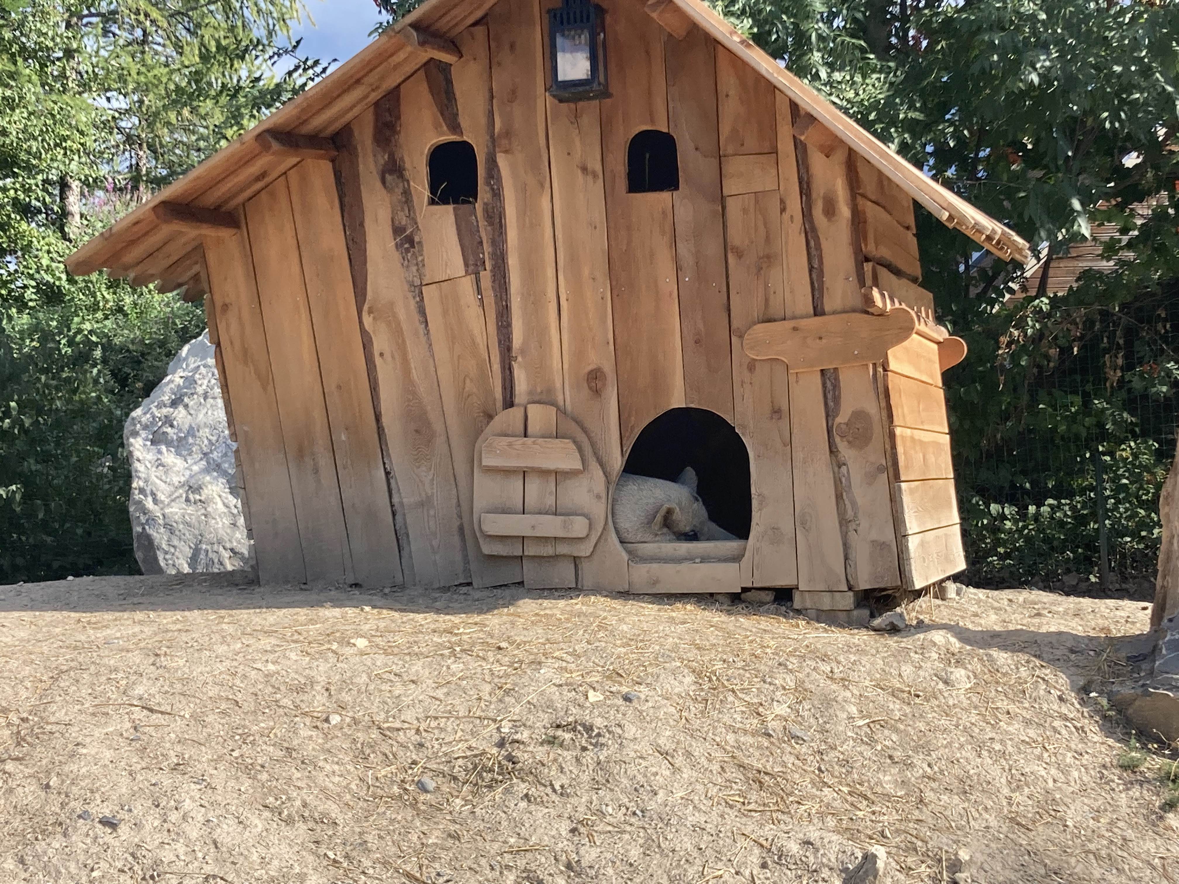 Photo n° 10 de l'avis de Laurianne.o fait le 26/08/2022 à 16:16