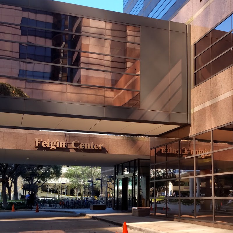 Texas Children's Hospital - Feigin Center