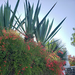 Photo n°18 de l'avis de Kelly.t fait le 26/07/2019 à 03:03 sur le  Grand Hotel Il Moresco à Ischia