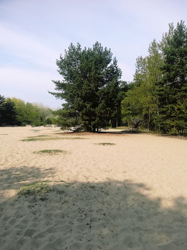 Нудистский пляж в Серебряном бору
