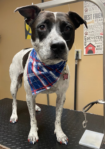 Pet Groomer «The Pet Bow-Tique», reviews and photos, 47 S Central Ave, Oviedo, FL 32765, USA