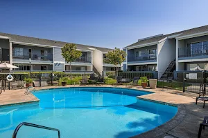 Crystal Springs Apartments image
