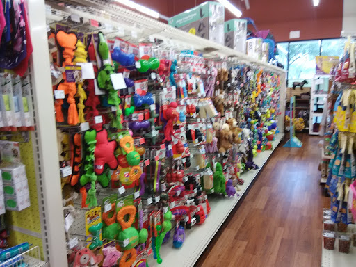 Pet Supply Store «Pet Supermarket», reviews and photos, 465 State Rd 13, Fruit Cove, FL 32259, USA