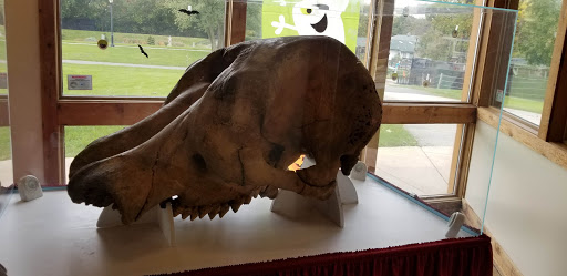 Park «Phillips Park», reviews and photos, 901 Ray Moses Dr, Aurora, IL 60505, USA