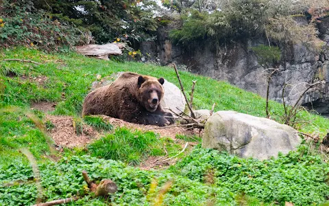 Woodland Park Zoo image