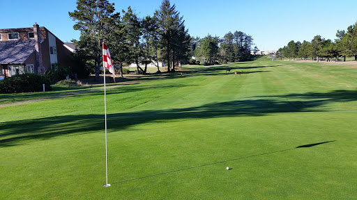 Golf Club «Surfside Golf Course», reviews and photos, 31508 J Pl, Ocean Park, WA 98640, USA