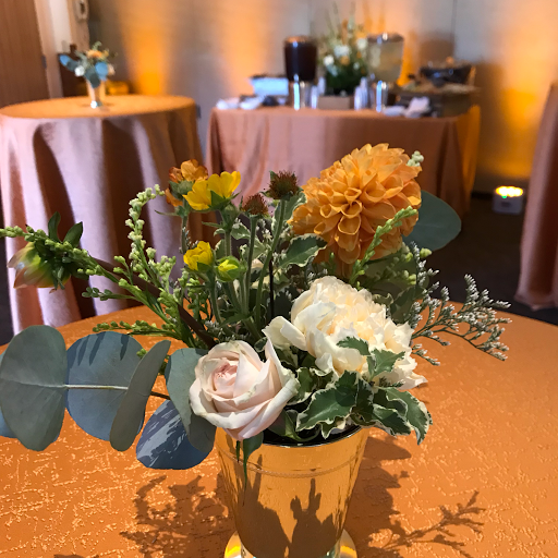MR DJ Event Services image