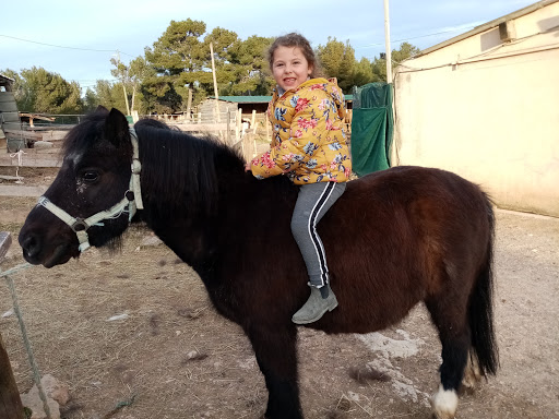 Horse riding schools Marseille