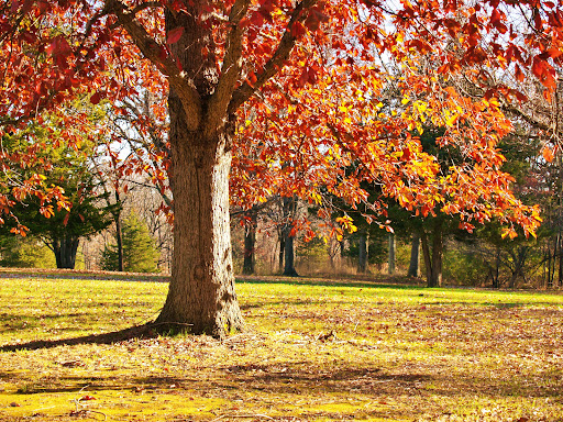 State Park «Monmouth Battlefield State Park», reviews and photos, 16 Business Route 33, Manalapan Township, NJ 07726, USA