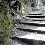 Photo n°3 de l'avis de Air.u fait le 02/07/2017 à 17:54 sur le  Hotel-Café Burg-Stahleck à Bacharach