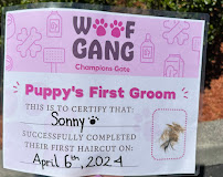 Woof Gang Bakery & Grooming Champions Gate - Photo 9 - Car repair in Championsgate, FL, Kissimmee