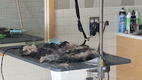 Petco - Photo 3 - Car repair in Pasco, WA, Kennewick