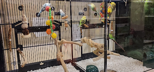 Pet Supply Store «PetSmart», reviews and photos, 14 Crossing Way #2, Augusta, ME 04330, USA