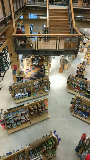 Camping Store «REI», reviews and photos, 4291 The Cir At N Hills St, Raleigh, NC 27609, USA