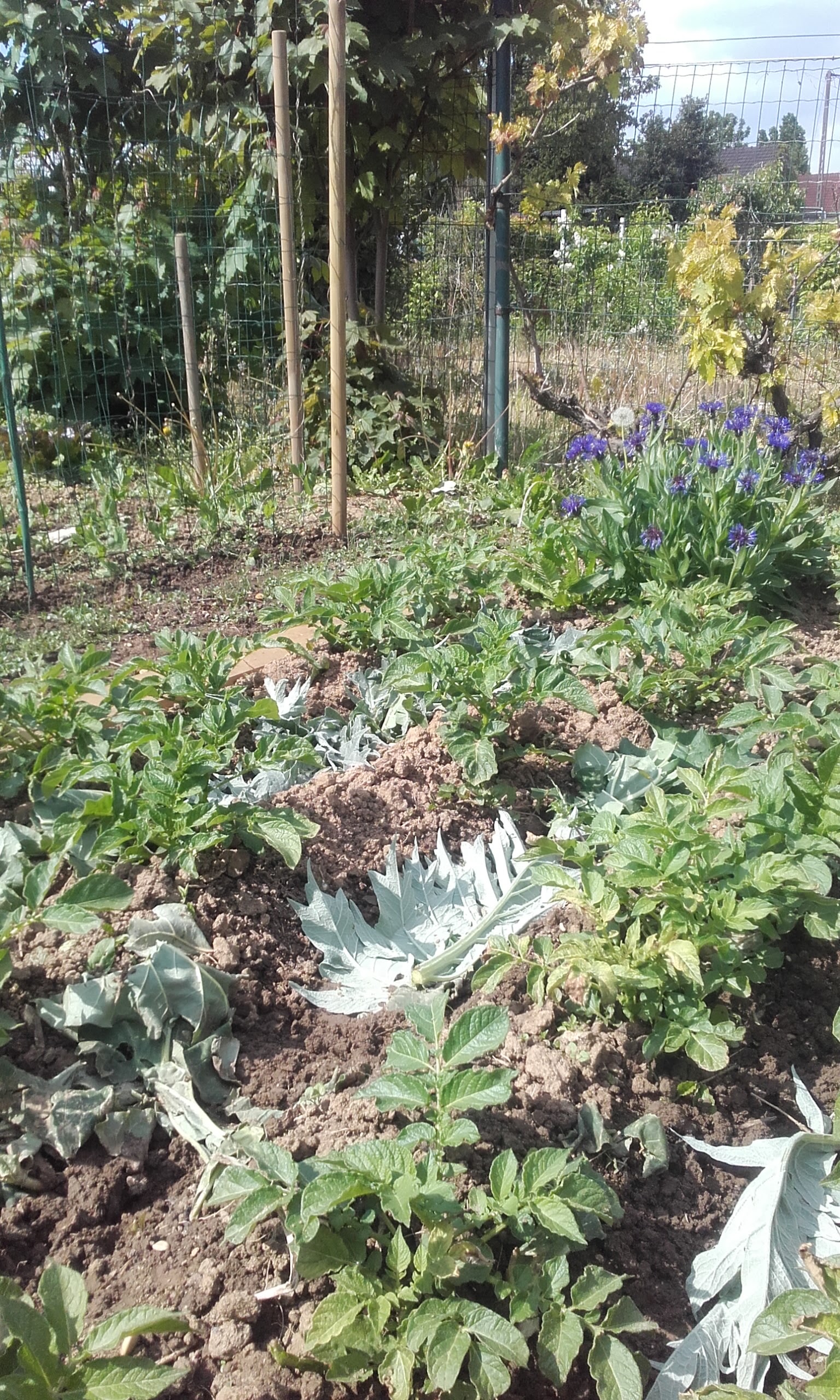 Photo n° 6 de l'avis de Olivier.i fait le 04/05/2017 à 16:04