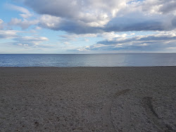Foto von Playa de Guadalmina mit etwas sauber Sauberkeitsgrad