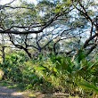 Frenchman's Forest Natural Area