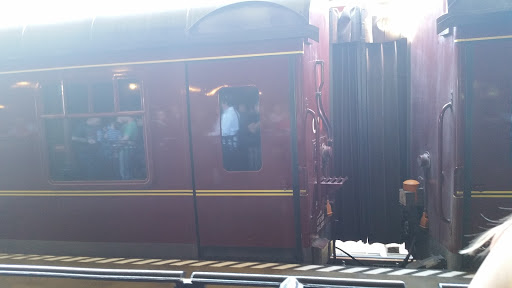 Roller Coaster «Dragon Challenge», reviews and photos, 6000 Universal Blvd, Orlando, FL 32819, USA