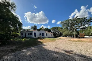 Museu de História Natural De Mato Grosso image