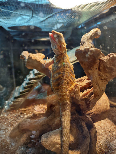 Pet Store «Fins Feathers Paws & Claws», reviews and photos, 436 Main St, Harleysville, PA 19438, USA