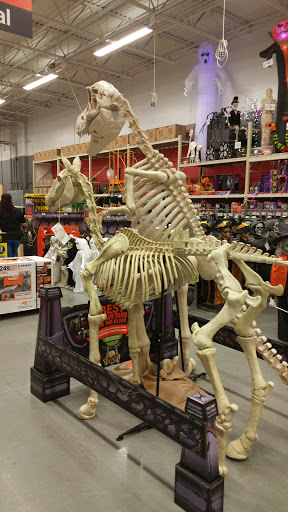 Home Improvement Store «The Home Depot», reviews and photos, 2508 Skyline Blvd, Cape Coral, FL 33914, USA