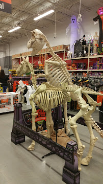 The Home Depot - Photo 5 - Car repair in Cape Coral, FL, Cape Coral