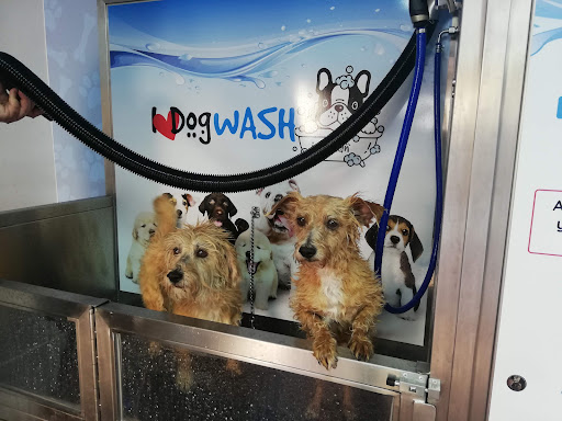 I Love Dog Wash Calafell - Peluquería Canina Y Felina