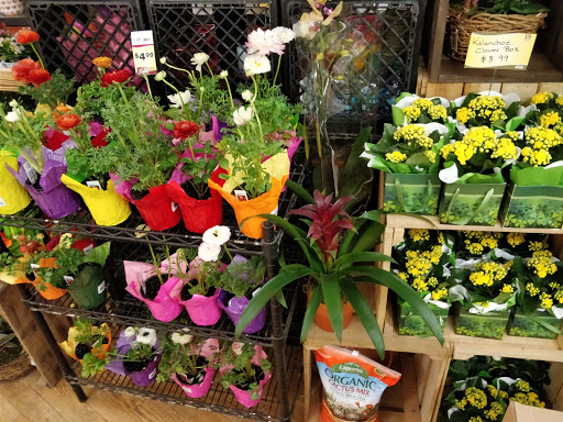 Grocery Store «Sunset Foods», reviews and photos, 1812 Green Bay Rd, Highland Park, IL 60035, USA