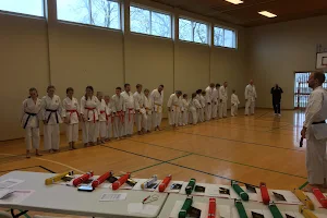 Holbæk Karate-Do image