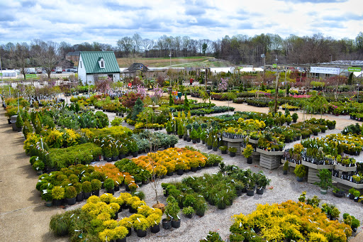 Garden Center «Homestead Gardens», reviews and photos, 743 Central Ave, Davidsonville, MD 21035, USA