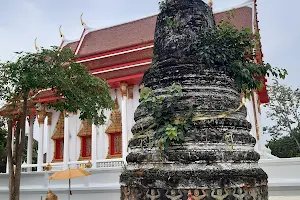 Wat Suan Luang (Phi Chuk) image