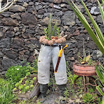 Photo n°27 de l'avis de Deja.r fait le 05/07/2020 à 21:29 sur le  Quinta de Santana à Rabo de Peixe