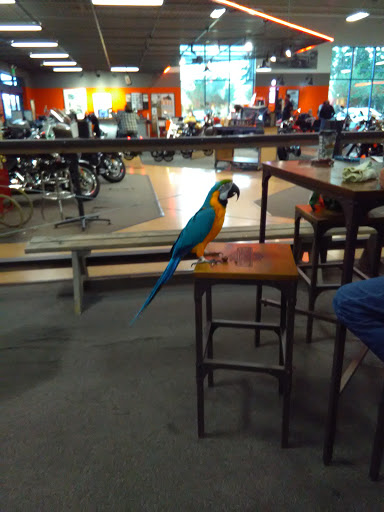 Harley-Davidson Dealer «Emerald City Harley-Davidson», reviews and photos, 5711 188th St SW, Lynnwood, WA 98037, USA