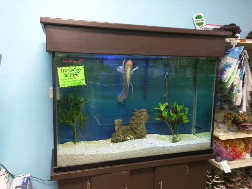 Tropical Fish Store «Blue Reef Aquatics», reviews and photos, 5960 Losee Rd, North Las Vegas, NV 89081, USA