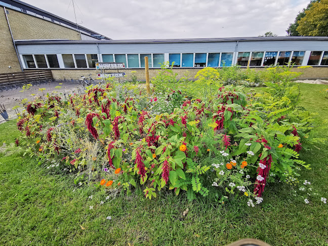 Dagmarskolen - Ringsted